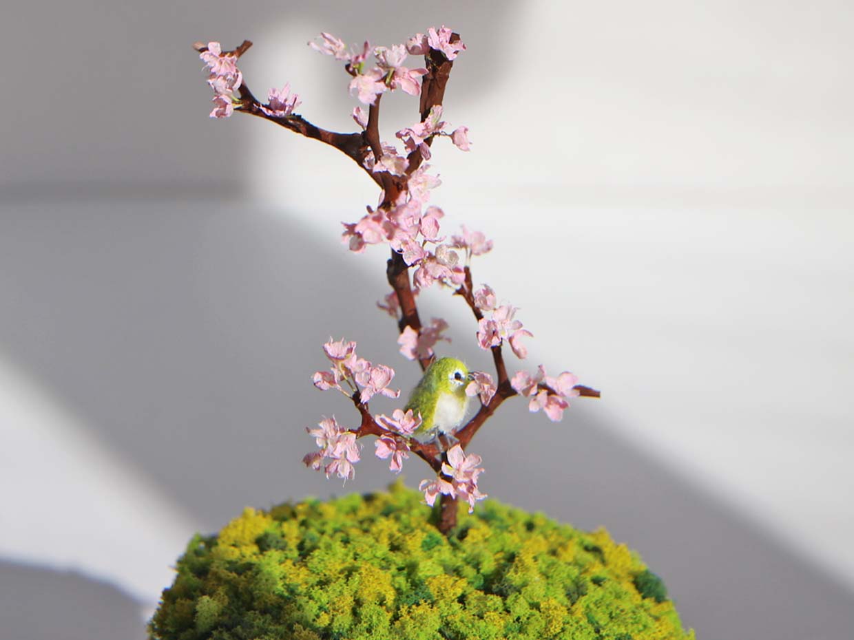 ミニチュアのメジロと桜の木　盆栽